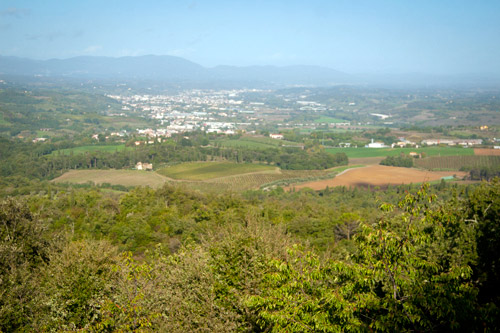 view-montozzi