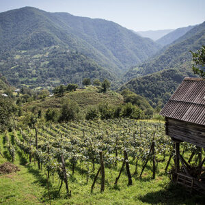 A small corner of Georgia near the sea town of Batumi.